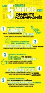 Nouveau permis de conduire
